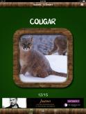 Free Animal Sounds Cougar
